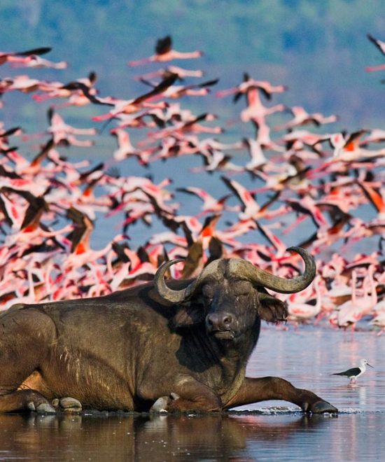 Naivasha, Nakuru & Elementaita